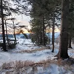 Vila Forest Camp Dom W Gorach Sowich Michalkowa