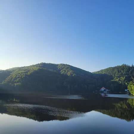 Forest Camp Dom W Gorach Sowich Vila Michalkowa