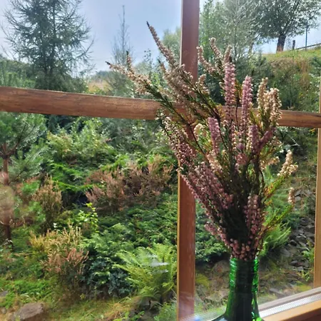 Forest Camp Dom W Gorach Sowich Villa Michalkowa