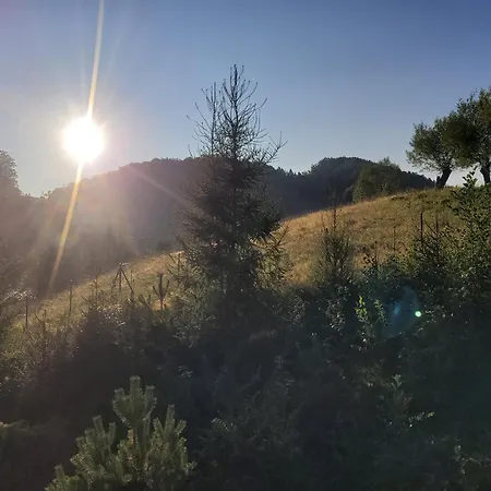 Forest Camp Dom W Gorach Sowich *