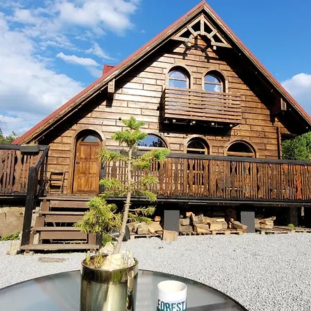 Forest Camp Dom W Gorach Sowich Villa Michalkowa