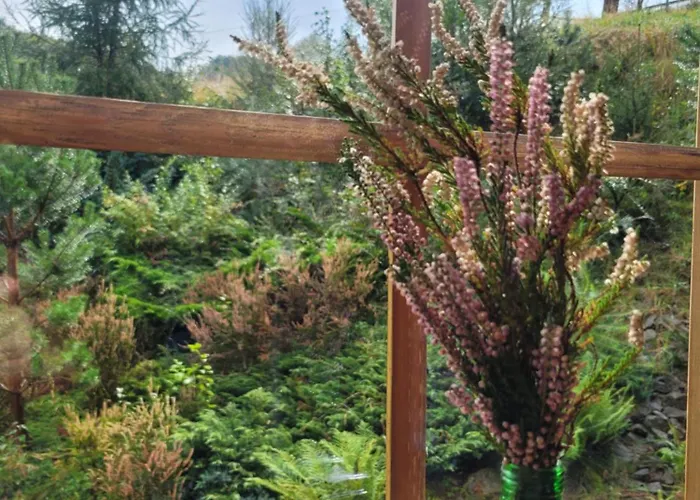 Forest Camp Dom W Gorach Sowich Vila Michalkowa