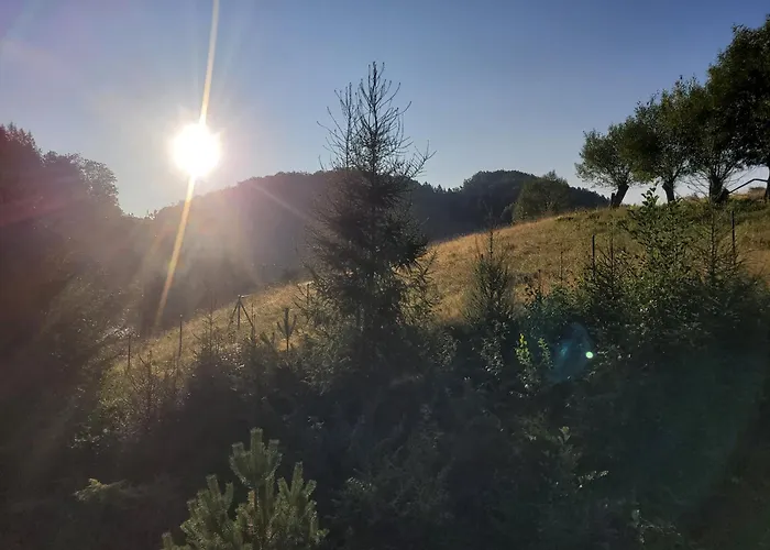 Forest Camp Dom W Gorach Sowich *