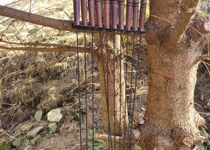 Forest Camp Dom W Gorach Sowich Vila