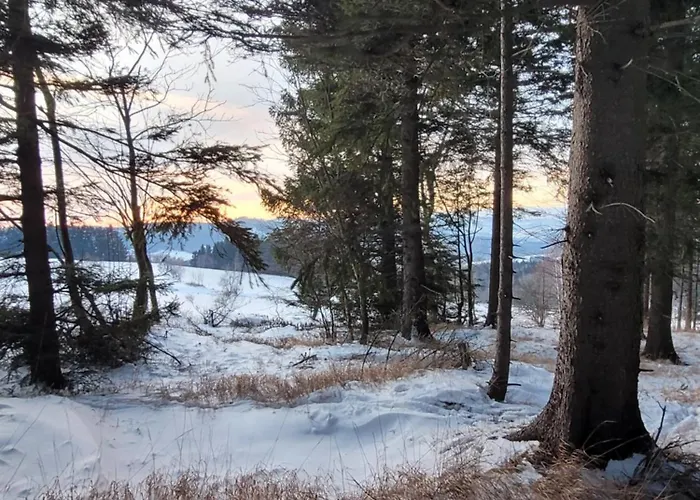 Vila Forest Camp Dom W Gorach Sowich Michalkowa