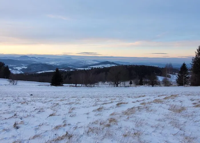 Vila Forest Camp Dom W Gorach Sowich *